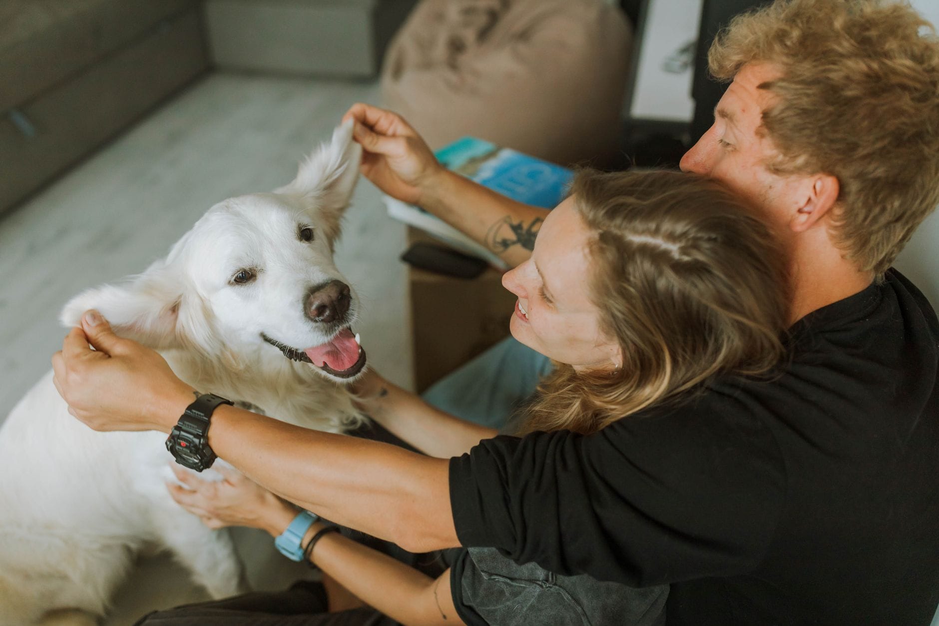 Para przytula golden retrievera w przytulnym wnętrzu domu